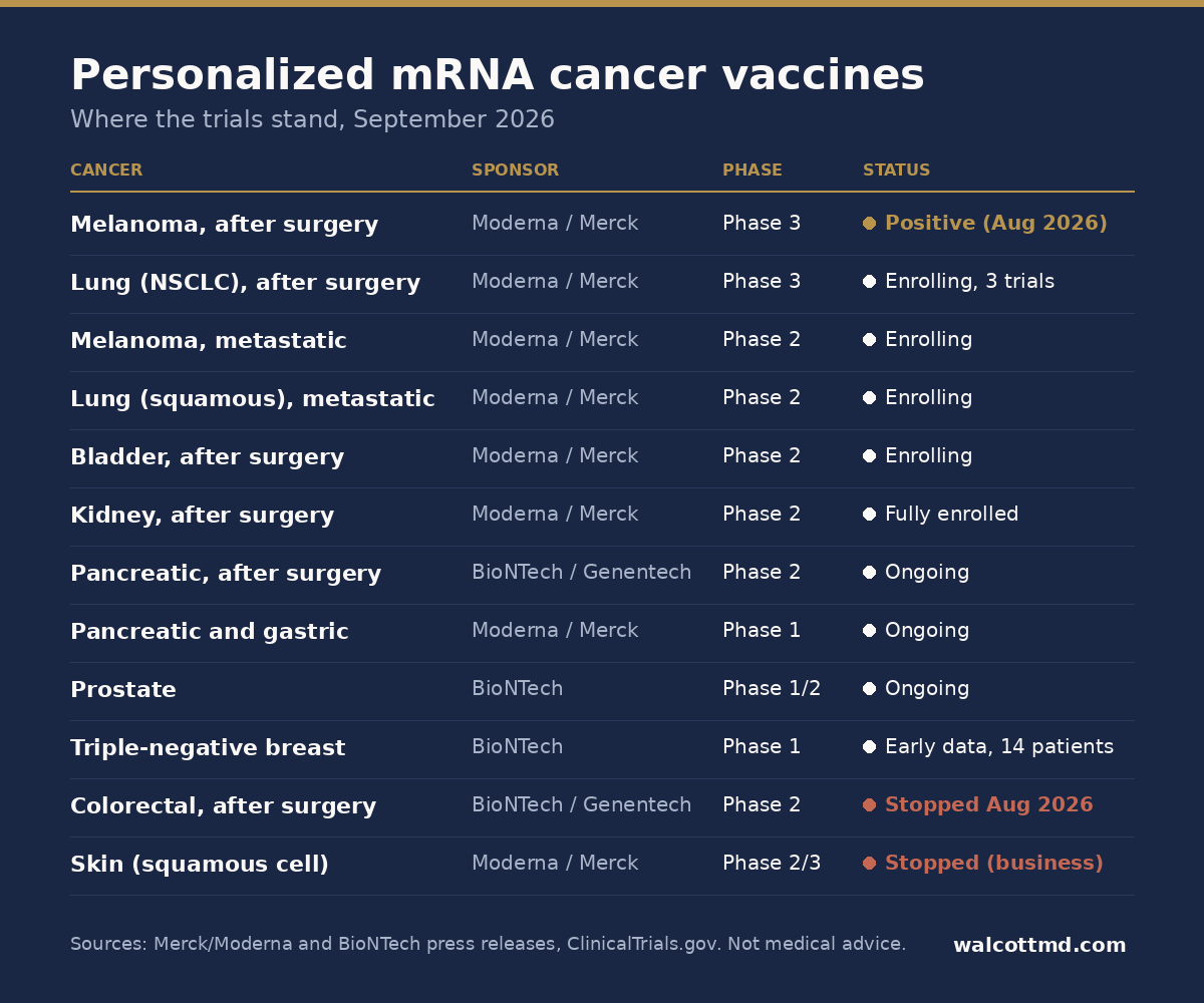 Table of personalized mRNA cancer vaccine trials by cancer type, sponsor, phase, and status as of September 2026